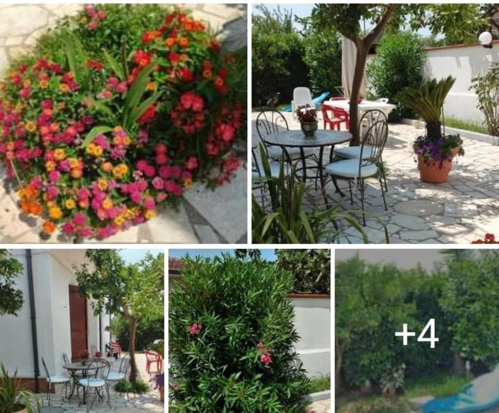 Villa Dafne Mare Fondi Sperlonga מראה חיצוני תמונה
